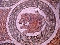BARDO 00 (14)